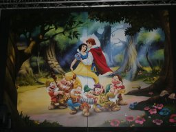 Auf - und Abbau 2013